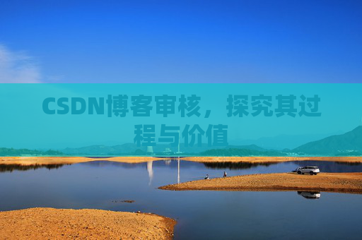 CSDN博客审核，探究其过程与价值